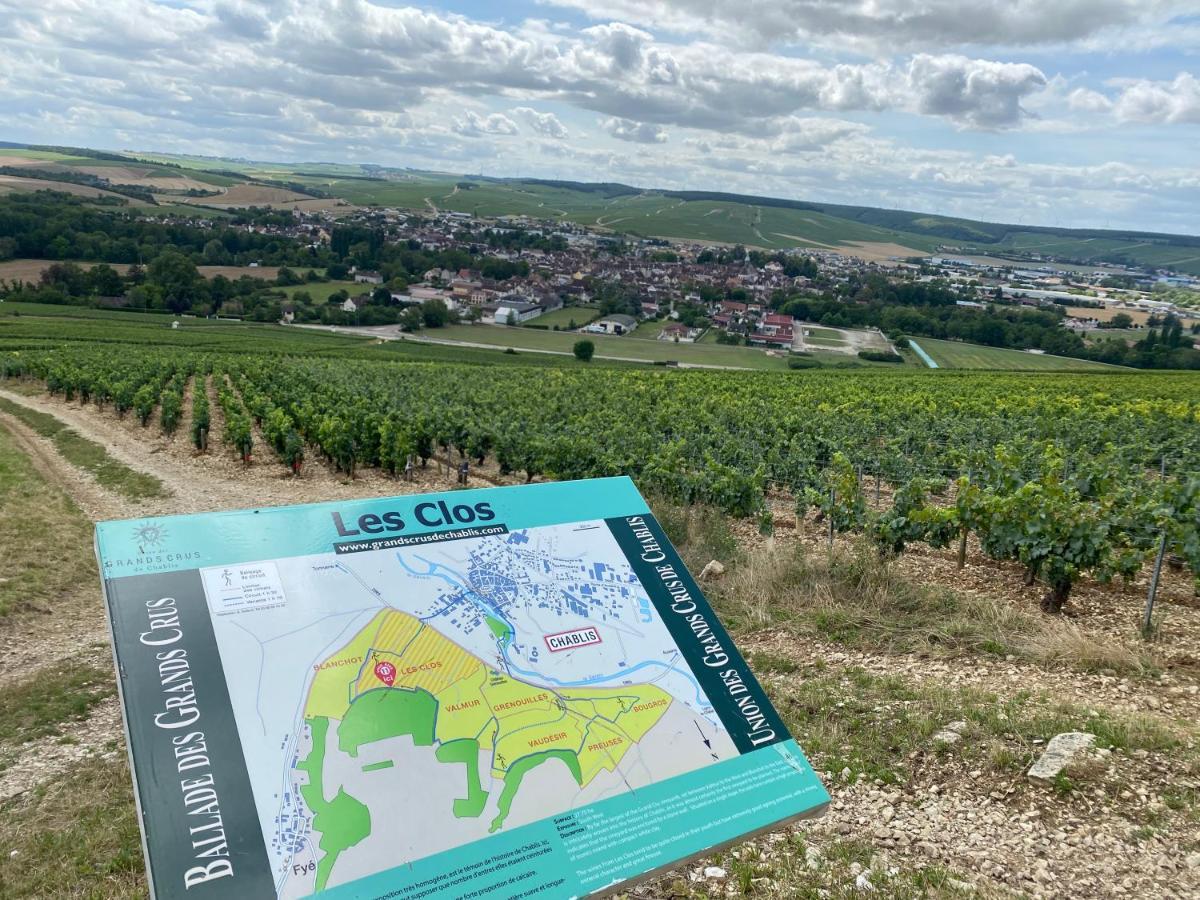 Le Cristallin Gite Plein Coeur De Chablis Bagian luar foto