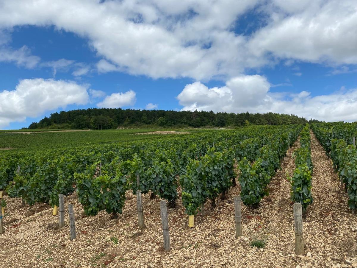 Le Cristallin Gite Plein Coeur De Chablis Apartment Bagian luar foto